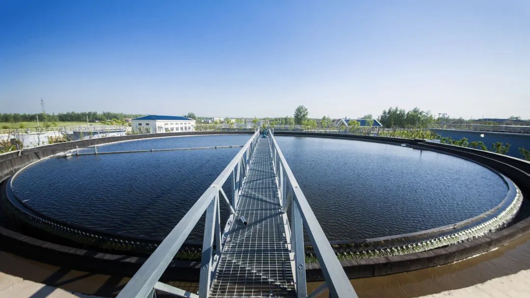 CA88�����е������ѡ 2022�����ʱ��ר������������ҵ����